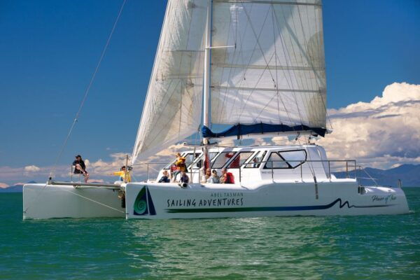 Abel Tasman National Park: Day Sailing Adventure With Lunch - The Sum Up