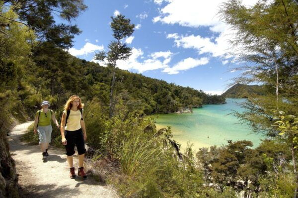 Abel Tasman National Park: Sailing and Self-Guided Walk - Common Questions
