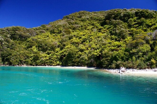 Abel Tasman National Park Scenic Cruise - Other Related Activities