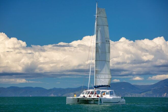 Abel Tasman National Park: Self-Guided Walk & Sailing - Sailing Adventure Highlights
