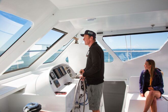 Abel Tasman National Park: Self-Guided Walk & Sailing - Inclusions and Essential Items