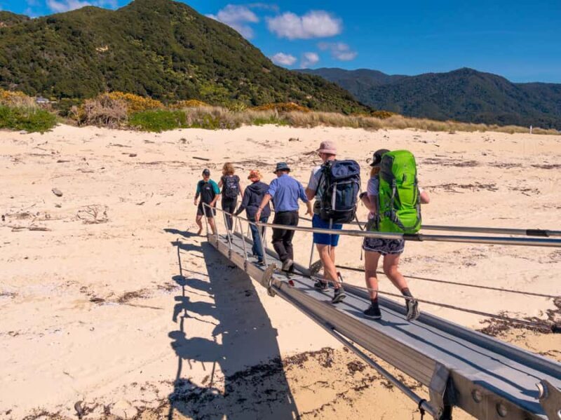 Abel Tasman: Sea Shuttle Cruise and Walking Tour Combo - The Guides and Experience Value