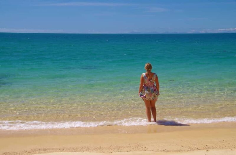 Abel Tasman: Sea Shuttle Cruise and Walking Tour Combo - Practical Tips for a Great Day