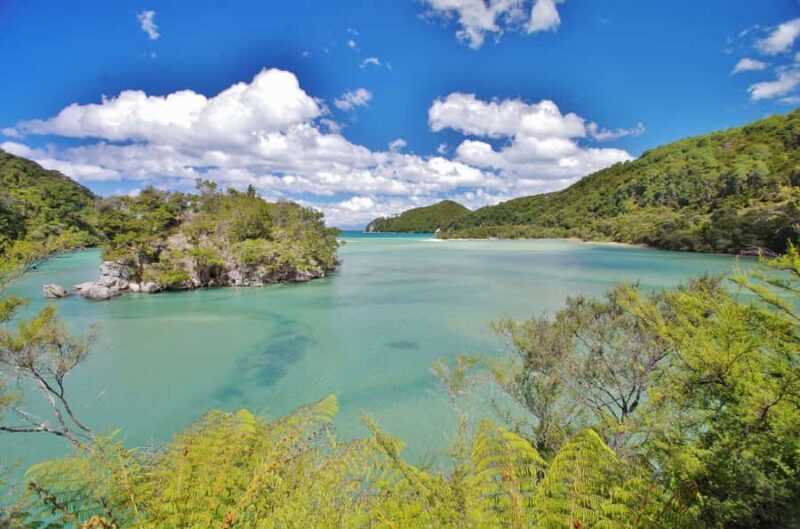 Abel Tasman: Sea Shuttle Cruise and Walking Tour Combo - Who Is This Tour Best For?