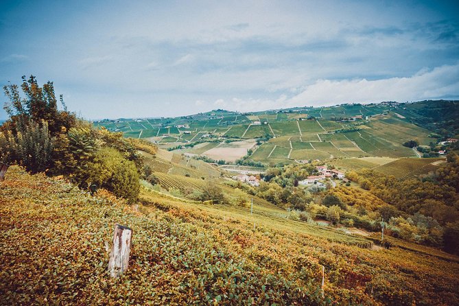Abellonio Cascina Piccaluga - Visit to the Vineyards, to the Wine Tasting Cellar - Traveler Reviews