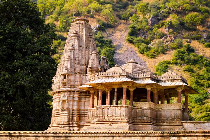 Abhaneri Breathtaking Stepwell and Ghost Fort of Bhangarh From Jaipur - Tour Inclusions