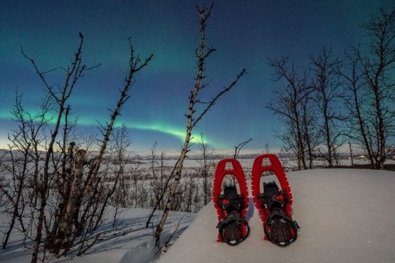 Abisko: Aurora Snowshoeing - Itinerary Breakdown