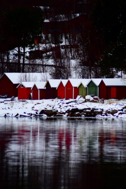 Abisko: Fjord Sightseeing and Photography Tour. - Important Information