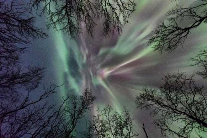 Abisko: Guided Autumn Aurora Chase With Hotel Transfers - Inclusions