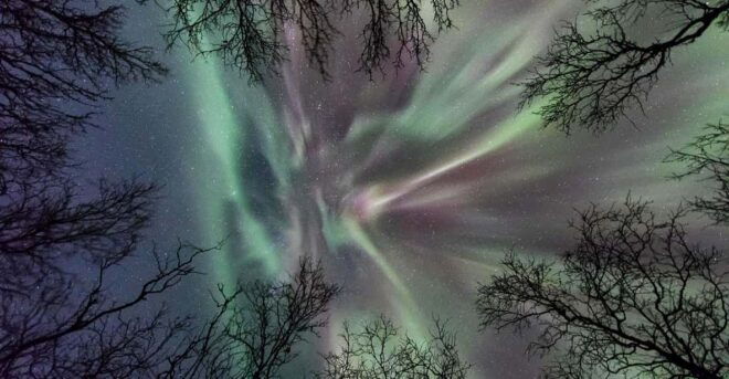 Abisko: Guided Autumn Aurora Chase With Hotel Transfers - Customer Feedback