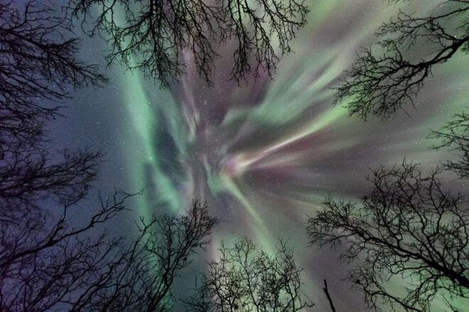 Abisko: Guided Autumn Aurora Chase With Hotel Transfers - Included Amenities