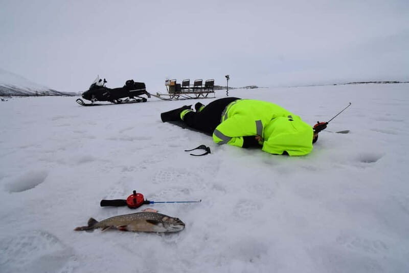 Abisko: Ice Fishing Experience - Good To Know