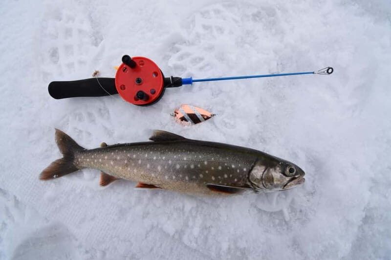 Abisko: Ice Fishing Experience - Who Will Love This Tour?