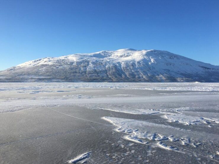 Abisko: Lake Torneträsk Arctic Ice Fishing Trip - Trip Duration and Guide Availability