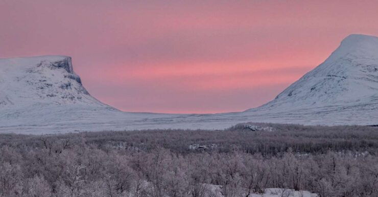 Abisko National Park: Scenic Morning Hike With Transfer - Experience Highlights