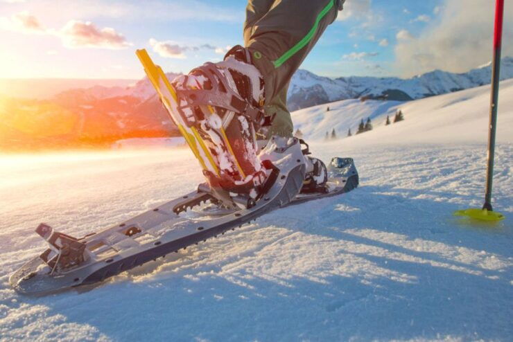 Abisko Snowshoe Hike - Experience Highlights