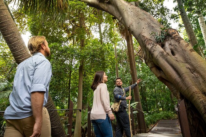 Aboriginal Heritage Walk - Royal Botanic Gardens Victoria, Melbourne Gardens - Overview and Experience