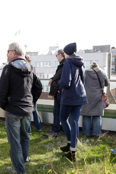 Above the Rooftops of Bremen - Highlights of the Tour