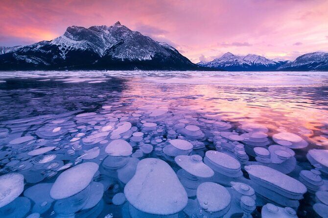 Abraham Lake (Ice bubble lake) Peyto Bow Lake Crowfoot Glacier - Good To Know