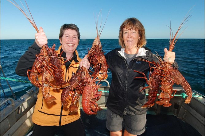 Abrolhos Islands 5 Day Cruise - Activities and Excursions