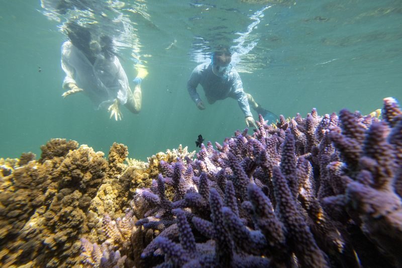 Abrolhos Islands Discovery Tour from Geraldton - The Batavia story from the air