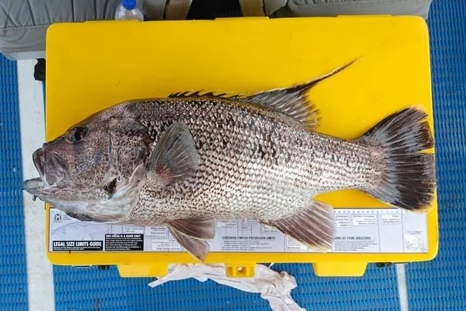 Abrolhos Islands Fishing Charter - The Sum Up