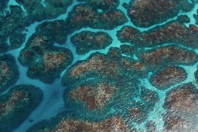 Abrolhos Islands Scenic Flyover - Additional Accessibility Information