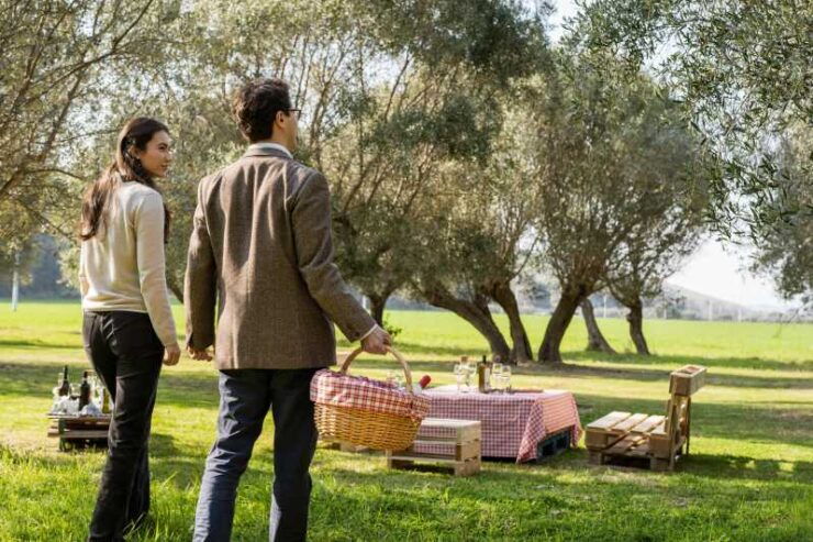 Abruzzo: Country Picnic in an Olive Grove at a Winery - Good To Know