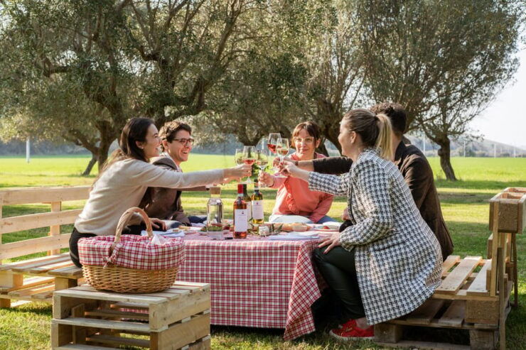 Abruzzo: Country Picnic in an Olive Grove at a Winery - Pricing and Reservation