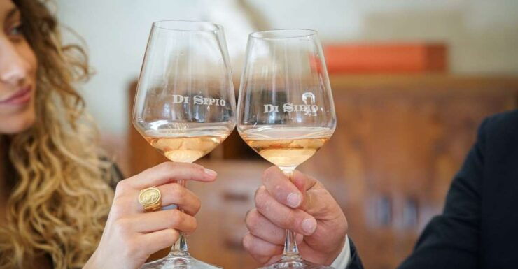 Abruzzo: Di Sipio Wine Tour and Tasting - Activity Details