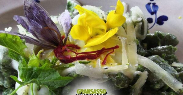 Abruzzo: Gran Sasso Active Gourmet Experience 2024 - Frequently Asked Questions