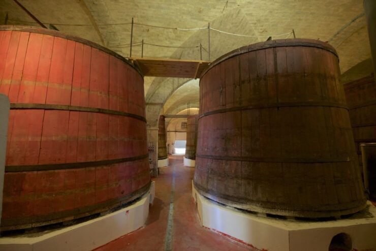 Abruzzo: Historic Cellar Wine Tour and Tasting - Booking Information