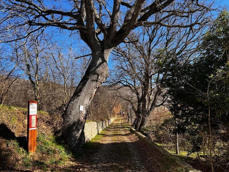 Abruzzo: Incredible e-bike adventures admiring the 4 medieval towers - Authentic Flavors and Cultural Connection