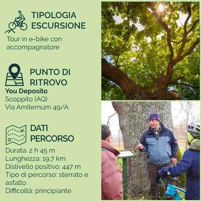 Abruzzo L'Aquila: e-bike tour in the shade of centuries-old oak trees - Good To Know
