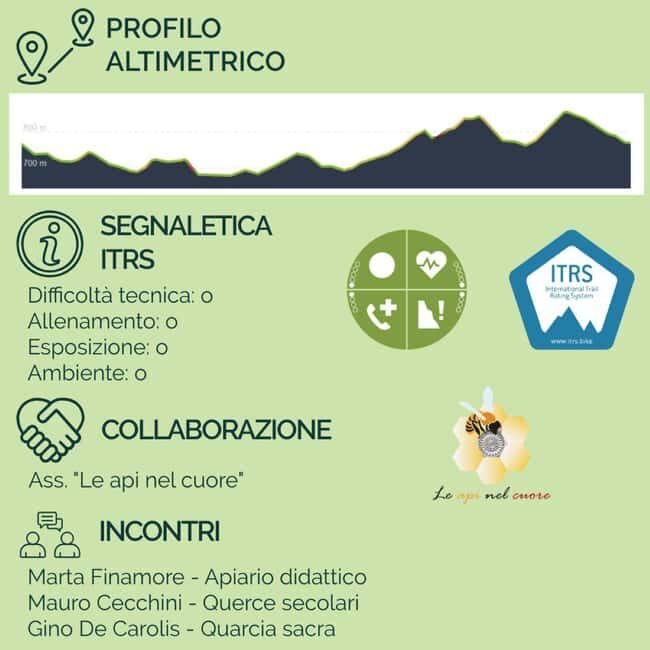 Abruzzo L'Aquila: e-bike tour in the shade of centuries-old oak trees - Exploring Abruzzo by E-Bike: What You Can Expect