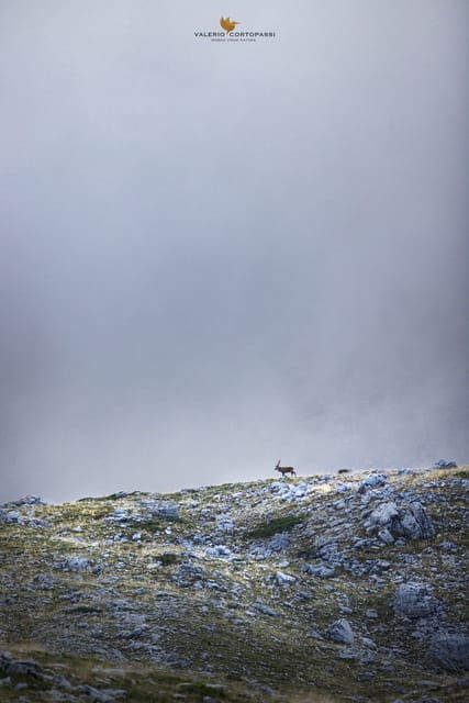 Abruzzo, Lazio and Molise National Park: Trekking&Wildlife. - The Sum Up
