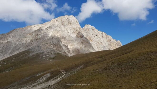 Abruzzo of Ladyhawke (Summer Version) - Additional Information