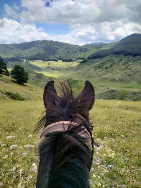 Abruzzo: Simbruini National Park Horseback Daily Adventure - The Value of the Experience