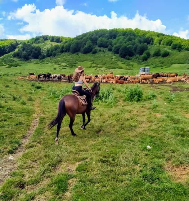 Abruzzo: Simbruini National Park Horseback Daily Adventure - Considerations & Tips