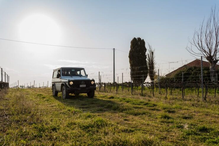 Abruzzo: Vineyard Jeep Tour With Tastings - Good To Know
