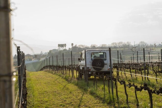 Abruzzo: Vineyard Jeep Tour With Tastings - Participant Restrictions