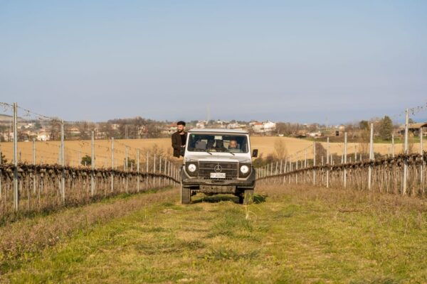 Abruzzo: Vineyard Jeep Tour With Tastings - Tips for an Enjoyable Tour