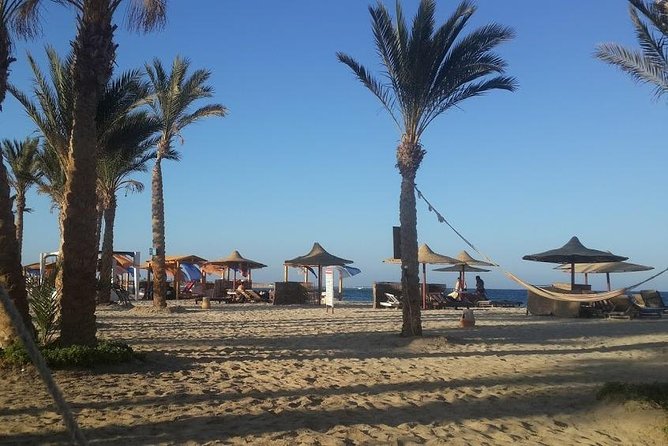 Abu Dabbab Beach Full Day From Hurghada - Good To Know