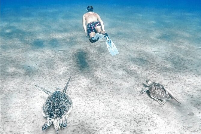 Abu Dabbab Beach Full Day Trip With Turtles - Additional Info