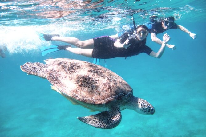 Abu Dabbab Beach Full Day Trip With Turtles - Cancellation Policy