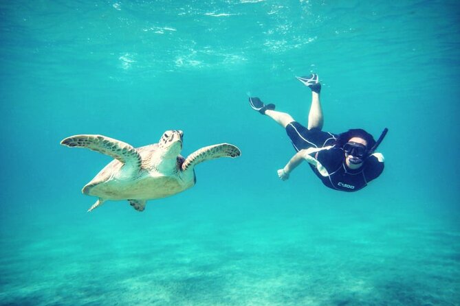 Abu Dabbab Beach Full Day Trip With Turtles - Convenient Transfers and Duration