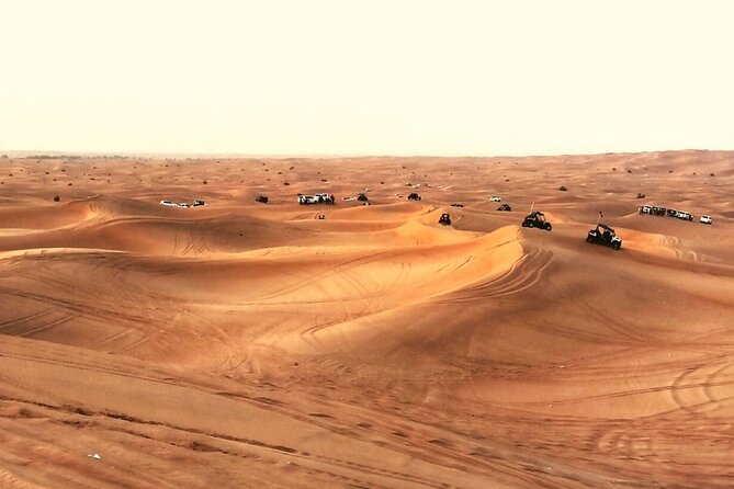 Abu Dhabi Bedouin Desert Camp - Desert Camping in Abu Dhabi - Activities and Entertainment