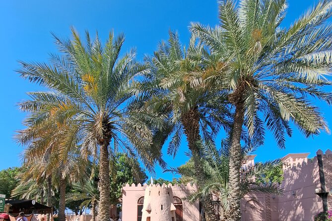Abu Dhabi City Tour - Private Transportation and Lunch Included