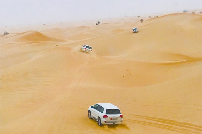 Abu Dhabi City Tour and Desert Safari - Cancellation and Refund Policies