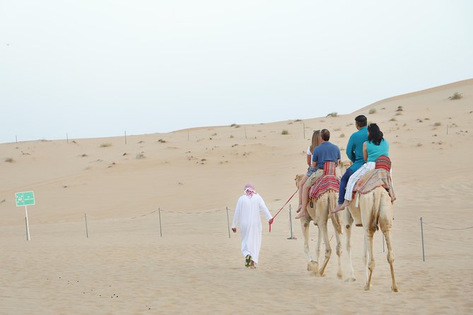 Abu Dhabi City Tour and Desert Safari - Questions and Support